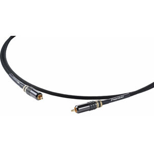Pioneer Dj DAS-DGC020R 2 m Audio kabel