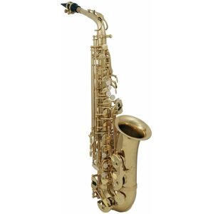 Roy Benson AS-202 Alto Saxofon