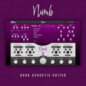 New Nation Numb - Dark Acoustic Guitar (Digitální produkt)