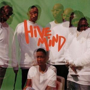Internet - Hive Mind (2 LP)