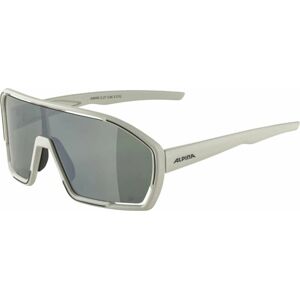 Alpina Bonfire Q-Lite Cool/Grey Matt/Silver Cyklistické brýle