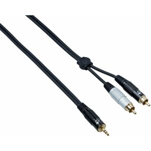 Bespeco EAYMSR500 5 m Audio kabel