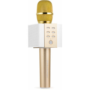 Technaxx Elegance Karaoke systém Zlatá