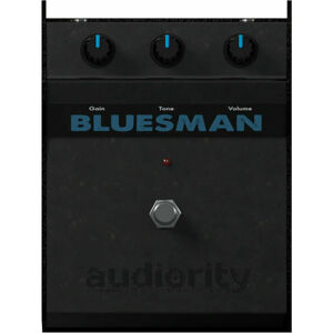 Audiority The Bluesman (Digitální produkt)