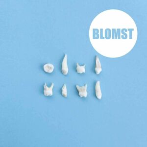 Blomst Blomst (LP)
