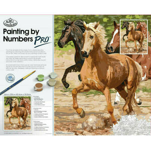 Royal & Langnickel Malování podle čísel Koně