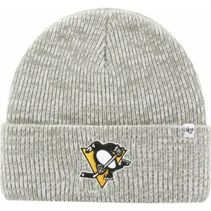 Pittsburgh Penguins NHL Brain Freeze GY UNI Hokejová čepice