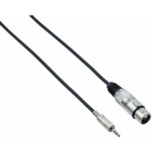 Bespeco EAMC300 3 m Audio kabel