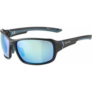 Alpina Lyron Black/Dirt/Blue Matt/Blue Sportovní brýle