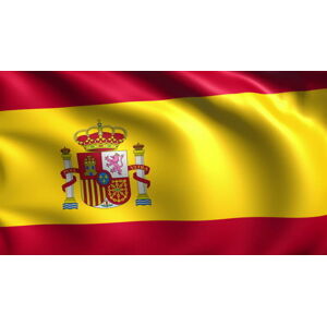 Talamex Flag Spain 20x30 cm