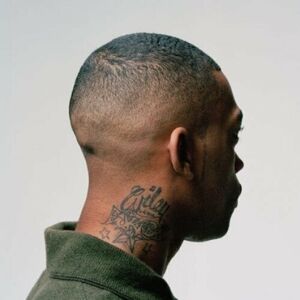Wiley - 100 % Publishing (Limited Edition) (2 LP)