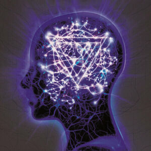 Enter Shikari The Mindsweep (LP) Luxusní edice