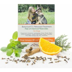 ARAVA Flea & Ticks Botanical Repelent pro psy 6 ml