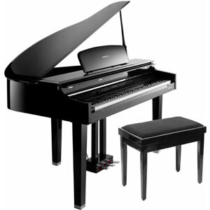 Kurzweil CGP220 Polished Ebony Digitální piano