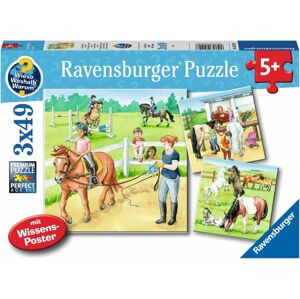 Ravensburger Puzzle Koně 3 x 49 dílů