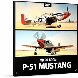 BOOM Library P-51 Mustang (Digitální produkt)