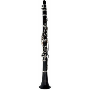 Roy Benson CG-200C Profesionální klarinet