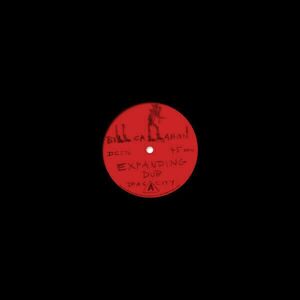 Bill Callahan Expanding Dub B/W Highs In The Mid-40's Dub (LP)