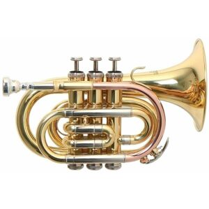 Roy Benson PT-302 Bb Trumpeta