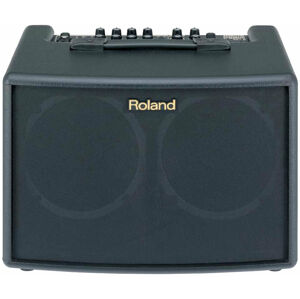 Roland AC 60