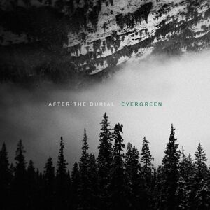 After the Burial Evergreen (LP)