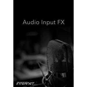 Internet Co. Audio Input FX (Digitální produkt)