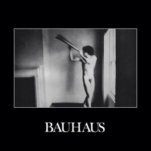 Bauhaus In The Flat Field  (LP) Nové vydání