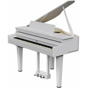 Roland GP-6 Digitální piano