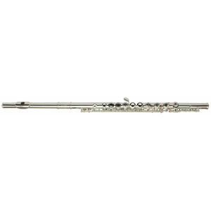 Roy Benson FL-402R Koncertní příčná flétna