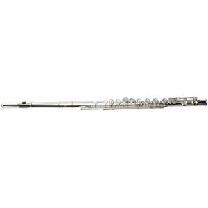 Roy Benson FL-602E Koncertní příčná flétna