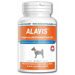 Alavis MSM + Glukosamin
