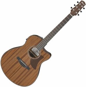 Ibanez AAM54CE-OPN Open Pore Natural