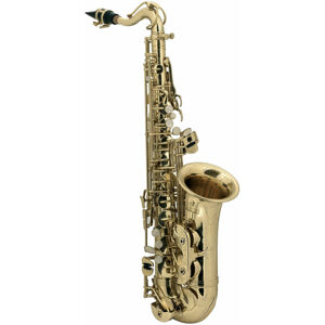 Roy Benson AS-201 Alto Saxofon