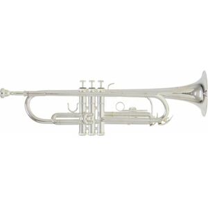 Roy Benson TR-202S Bb Trumpeta