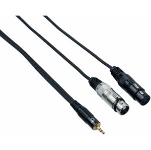 Bespeco EAYMS2FX150 1,5 m Audio kabel