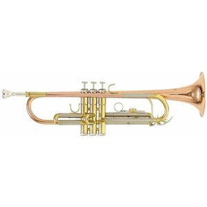 Roy Benson TR-202G Bb Trumpeta