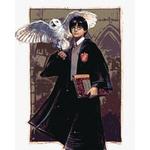 Zuty Malování podle čísel Harry Potter a Hedvika v Bradavicích