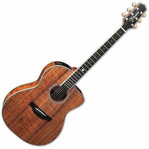 Takamine The 60th Natural