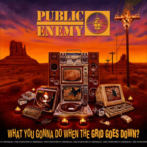 Public Enemy What You Gonna Do When The Grid Goes Down? Hudební CD